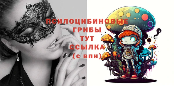 PSILOCYBIN Волосово