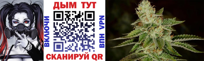 Купить  Миньяр  Каннабис сатива 